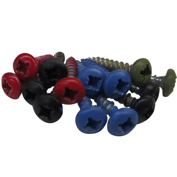 Vis-colorees Vis multi-couleurs